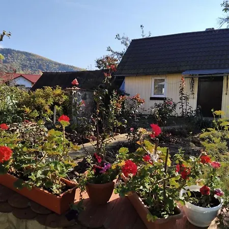 У Вуйка Івана Villa Yaremche Exterior photo